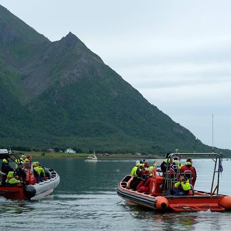 Leilighet Med Fantastisk Utsikt Henningsvær Dış mekan fotoğraf